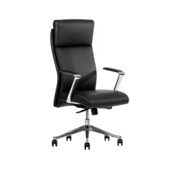 Silla CEO