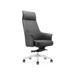 Silla DREAM