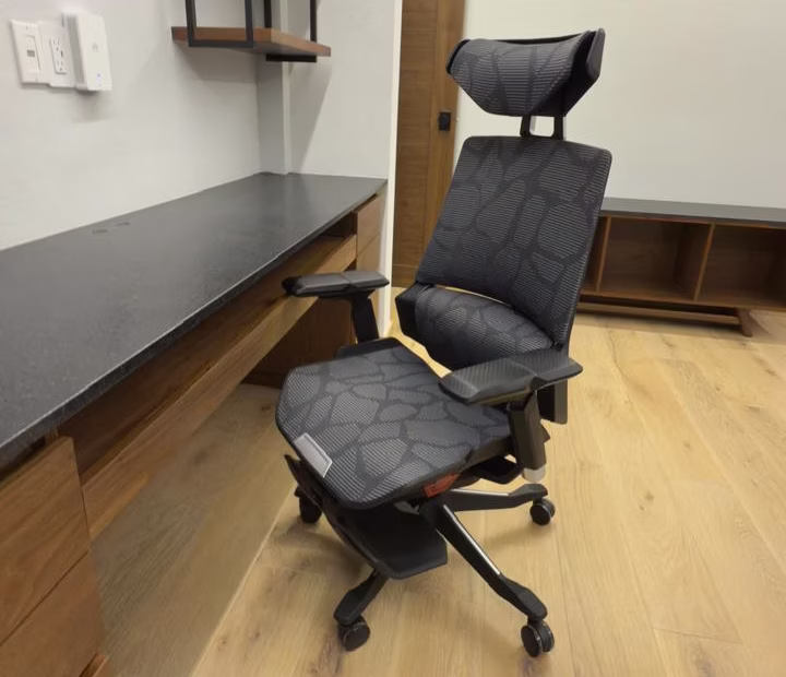 Silla Dragon Home Office