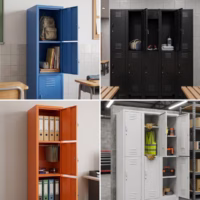 Lockers de línea COLORES ESPECIALES