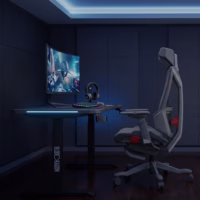 Gamer